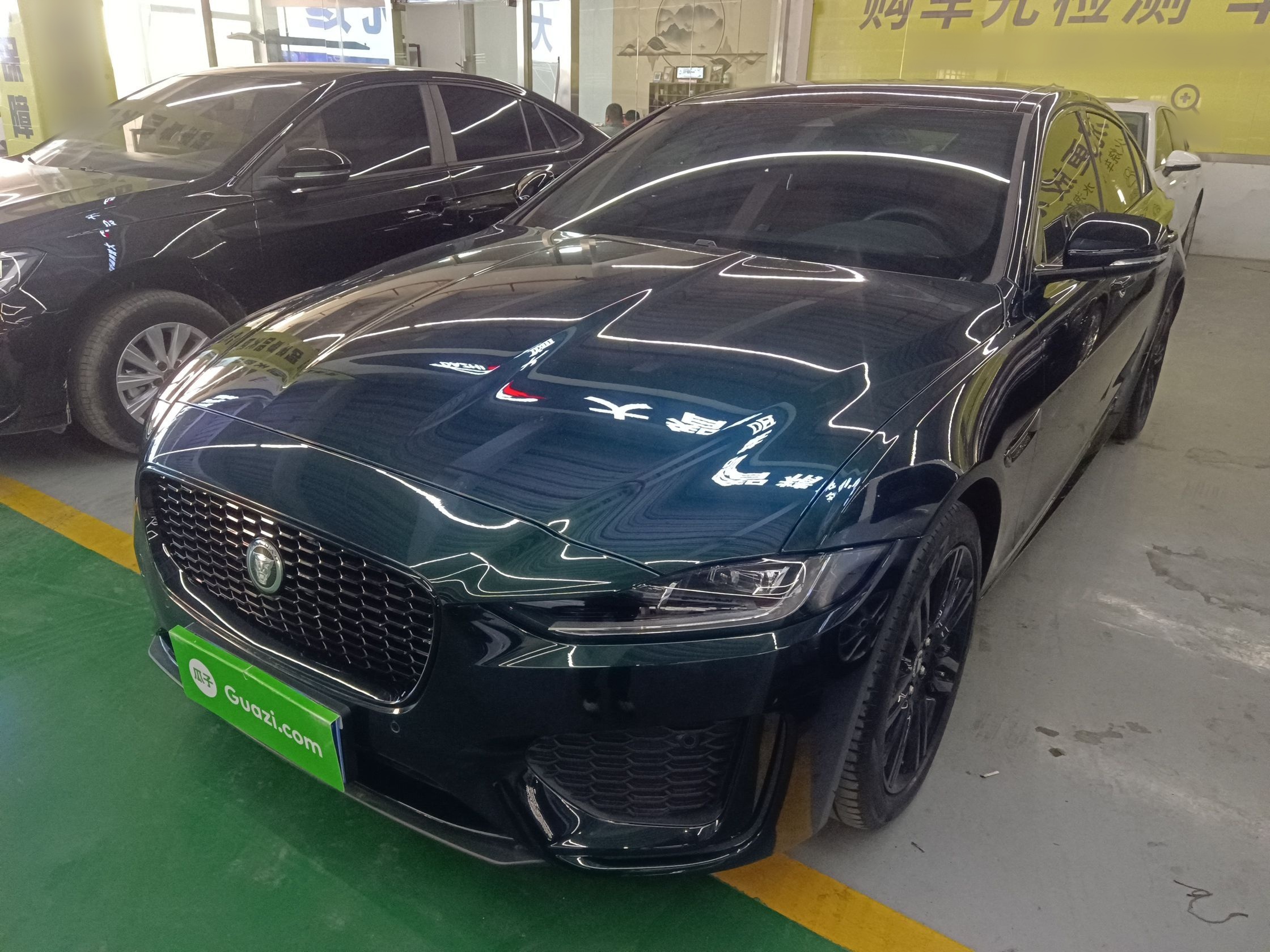 Parte inferior delantera