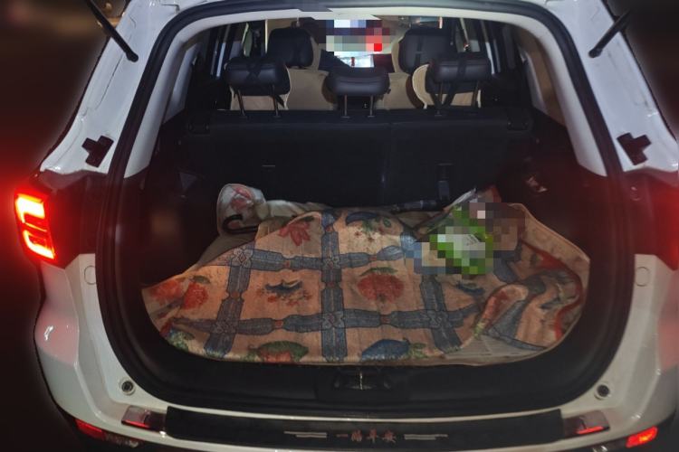 Used CHANGAN CS75 2022 Blue Whale Edition 1.5T Manual Elite Model