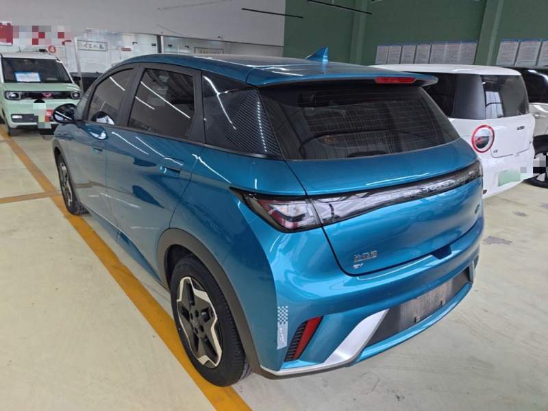 Used BYD Dolphin 2021 405 km Fashion Edition — 4