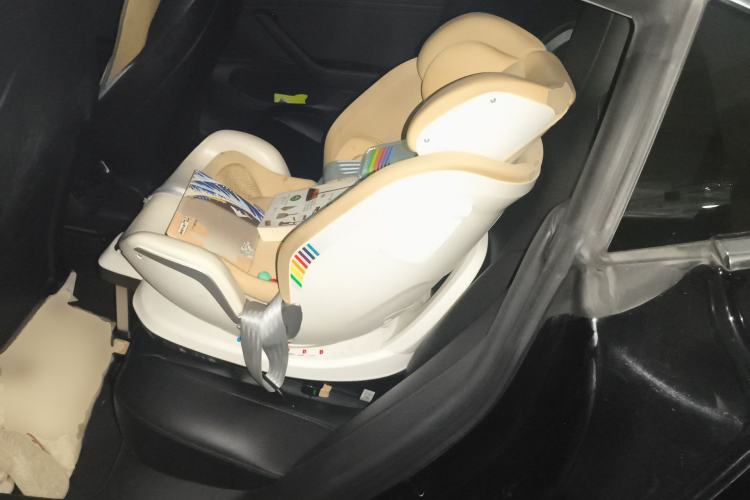 Used Tesla Model 3 2020 Standard Range Rear-Wheel Drive Upgraded Version Left Rear Seat