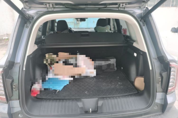 Used Haval DARGO 2022 2.0T DCT 4x4 Chinese Rural Dog Edition
