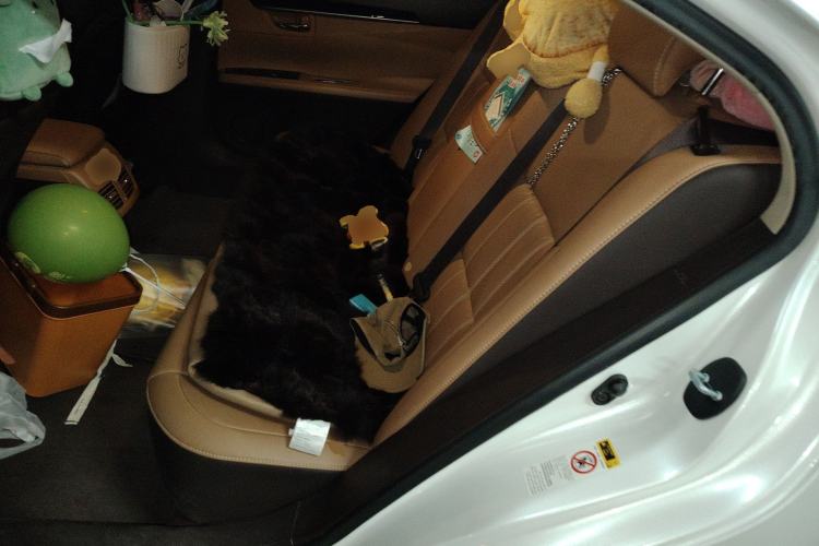 Used Lexus ES 2015 200 Elite Edition Left Rear Seat