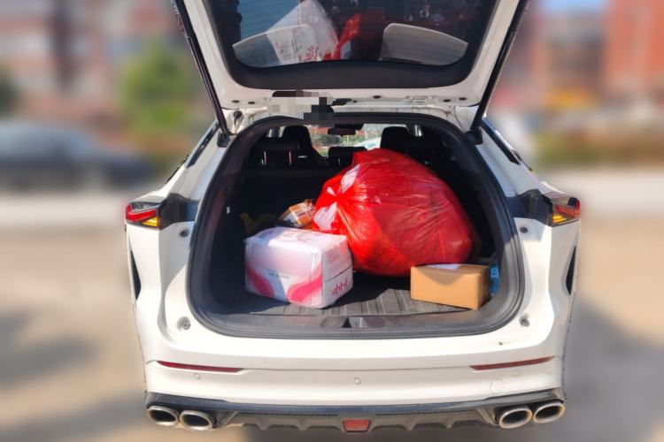 Used Oshan Z6 2023 Blue Whale 1.5T DCT Smart Luxury Model
