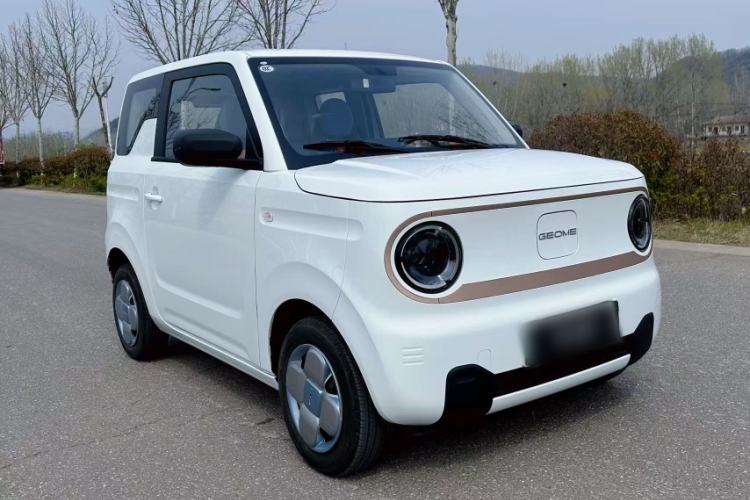 Used Geely Galaxy Panda 2024 Panda Mini 200km Endurance Bear
