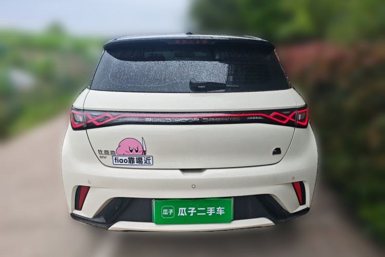 Used BYD Dolphin 2023 420 km Fashion Edition Rear