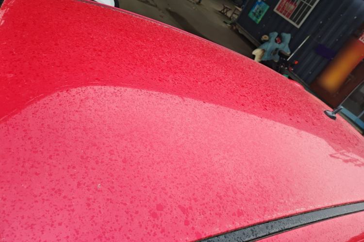 Used ORA Black Cat 2019 301km Standard Edition