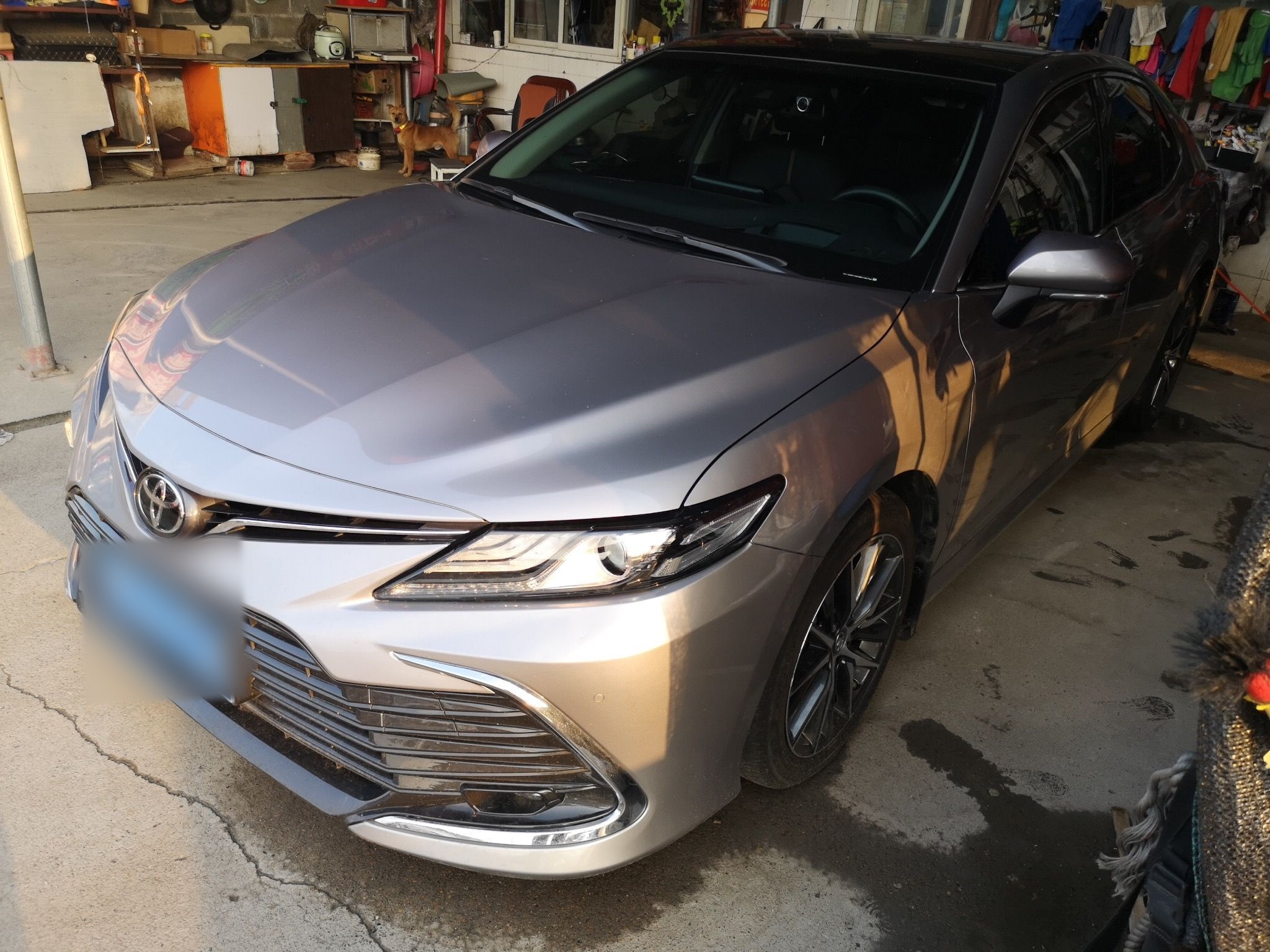 Under Front Bumper