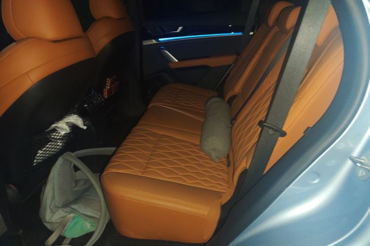 Used BYD Tang New Energy 2023 DM-i Champion Edition 112KM Prestige Model