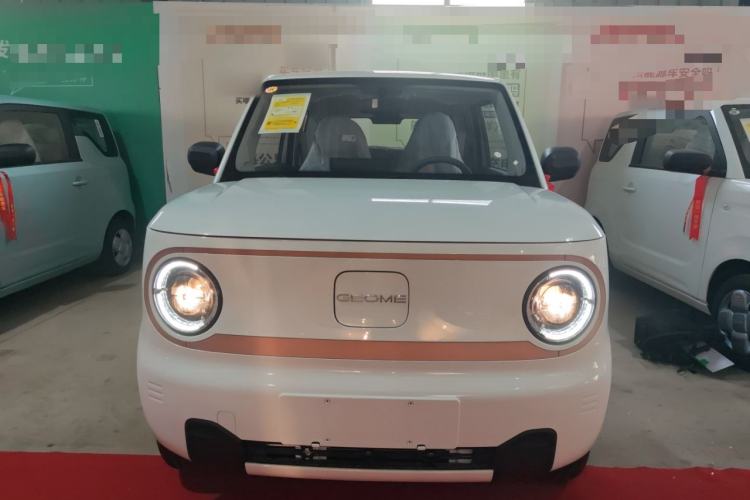 Used Geely Galaxy Panda 2024 Panda Mini 200km Endurance Bear Front