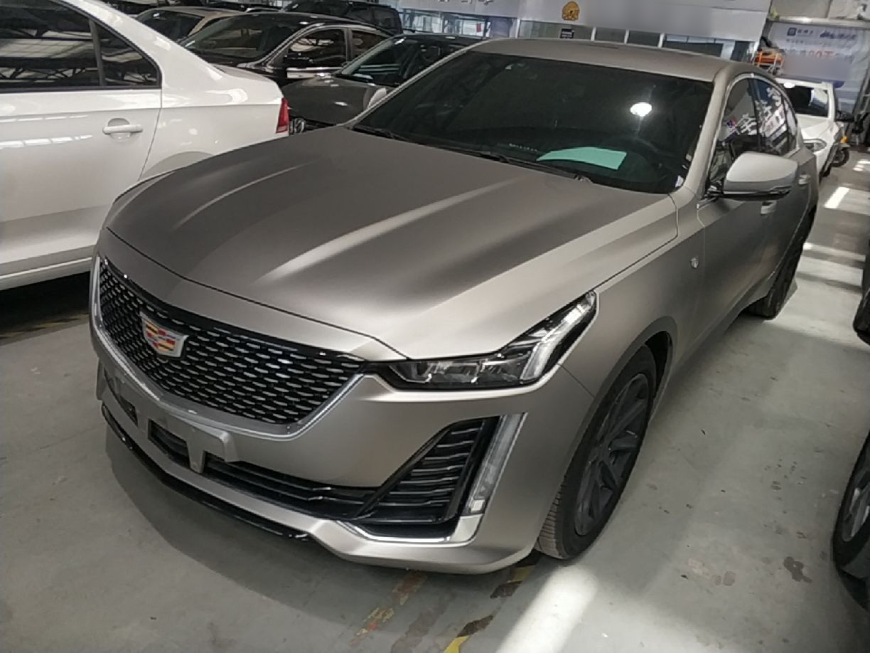 Under Front Bumper