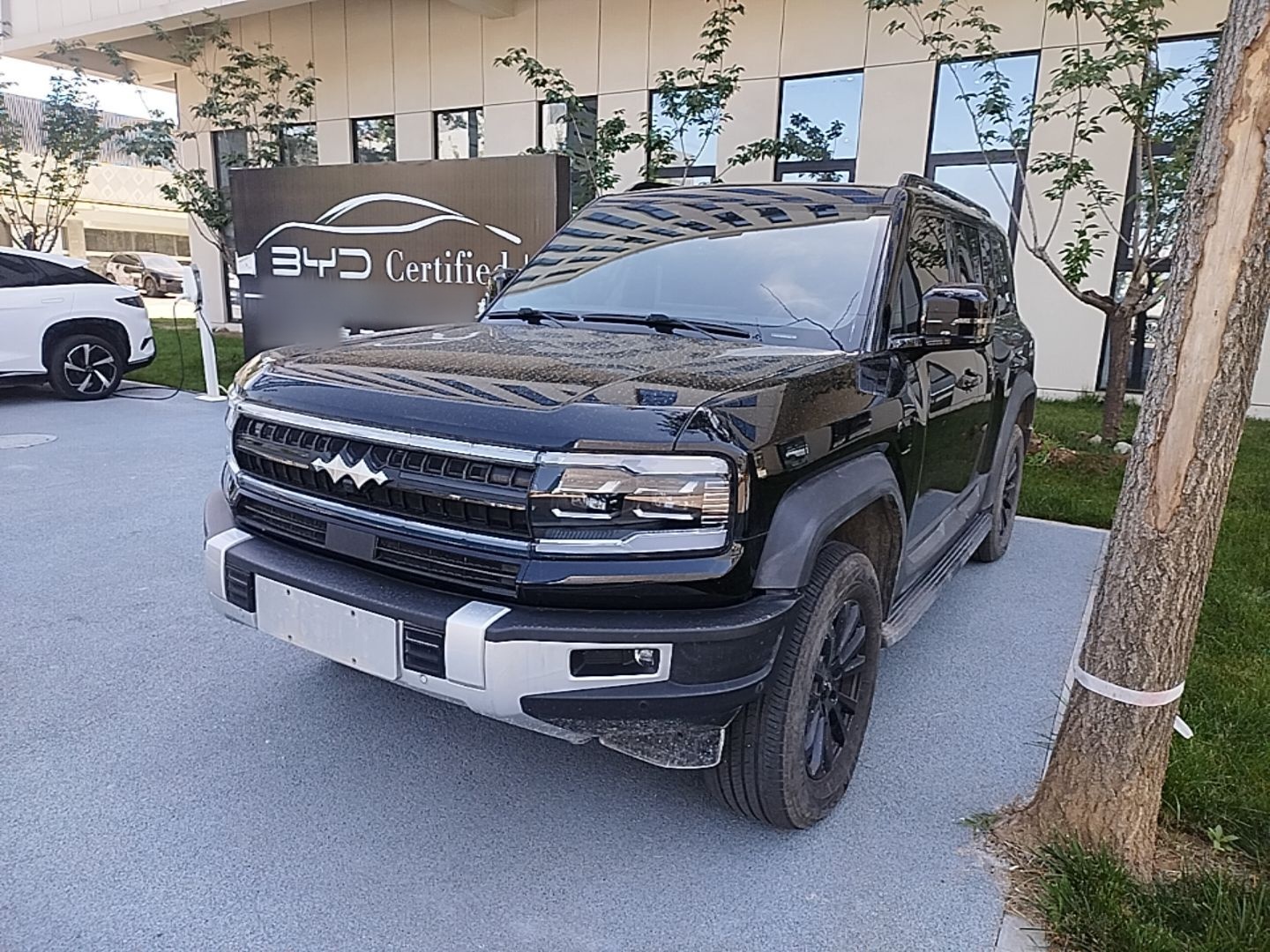 Under Front Bumper