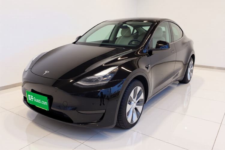Used Tesla Model Y 2021 Standard Range Rear-Wheel Drive Version