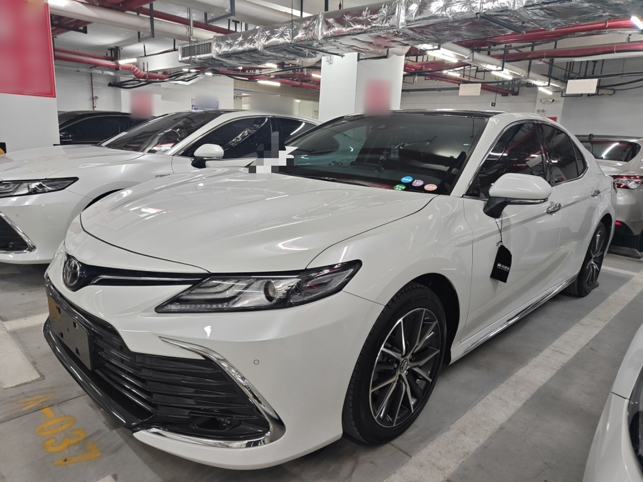 Parte inferior delantera