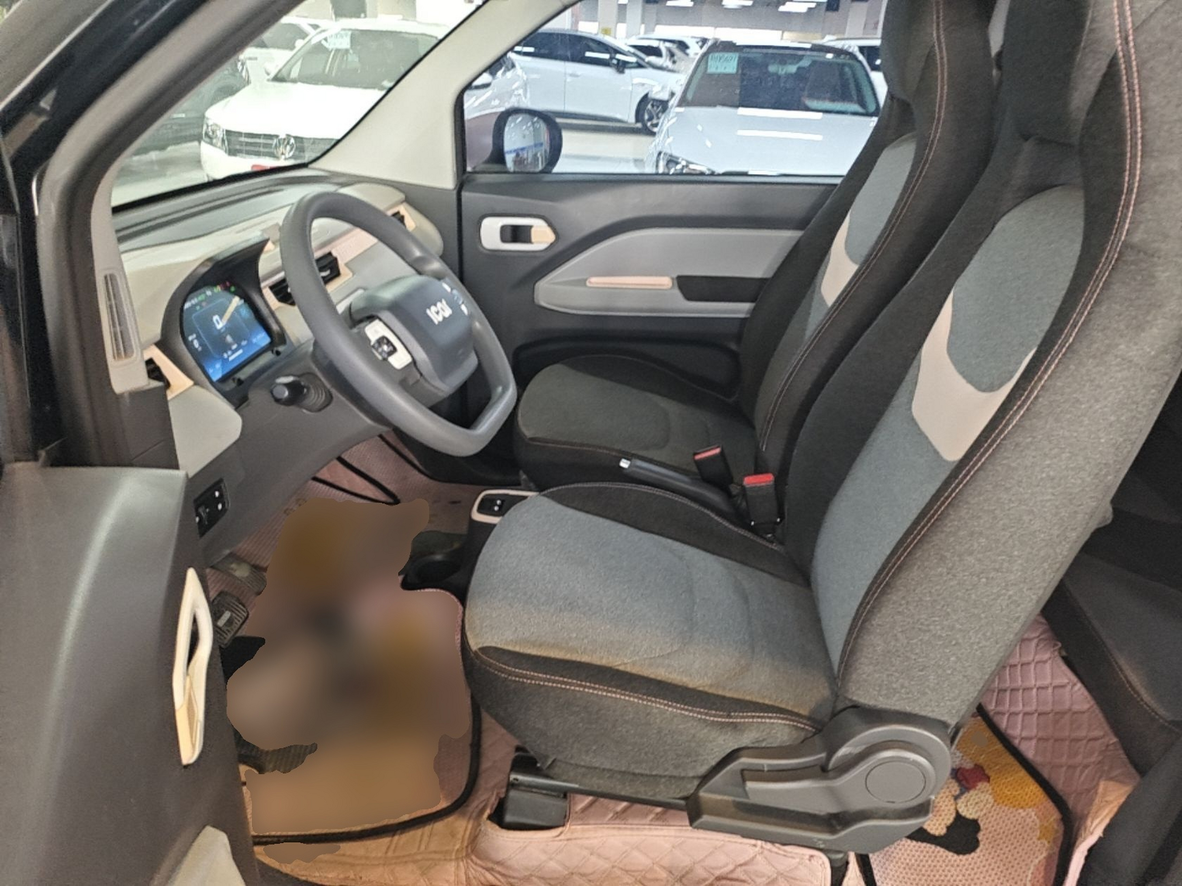 Interior delantero