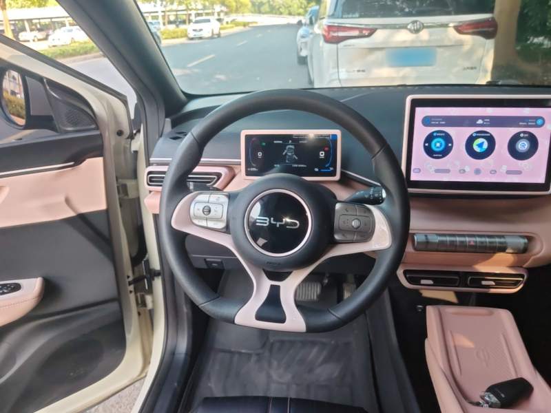 Used BYD Seagull 2024 Honor Edition 305km Dynamic Version — 10
