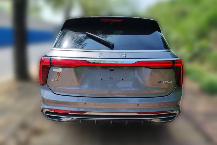 Used Hongqi E-HS9 2021 510 km Range Flagway Edition Six Seats