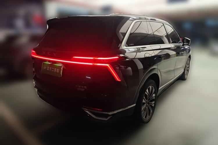 Used Wey Lanshan 2023 Four-Wheel Drive Ultra-Long Range Version Rear Right 45 Deg