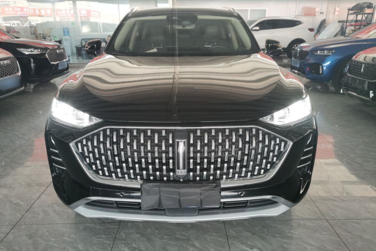 Used Wey Mocha 2021 2.0T Two-Wheel-Drive Ultra-Strong Version