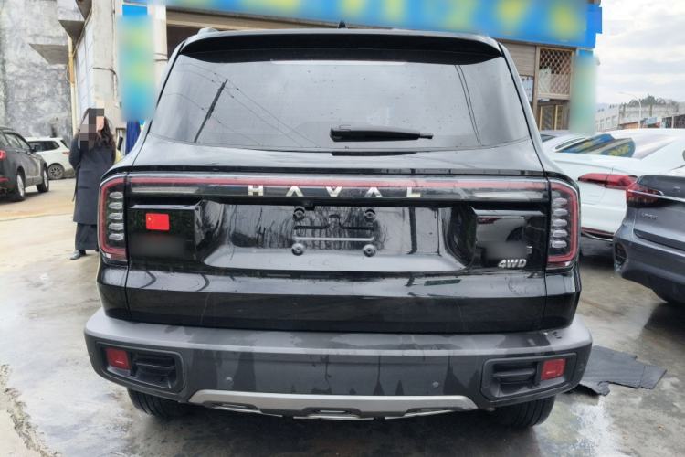 Used Haval DARGO 2024 2.0T DCT Chinese Rural Dog Edition
