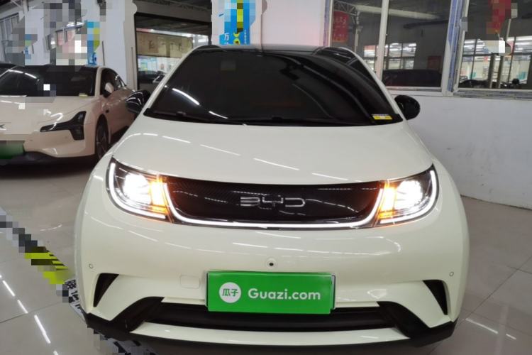 Used BYD Dolphin 2023 420 km Fashion Edition Front