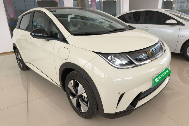 Used BYD Dolphin 2023 420 km Fashion Edition