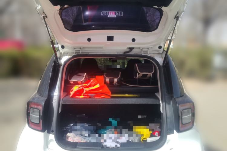 Used SOL E10X 2022 Flower Fairy Style Baby's Breath
