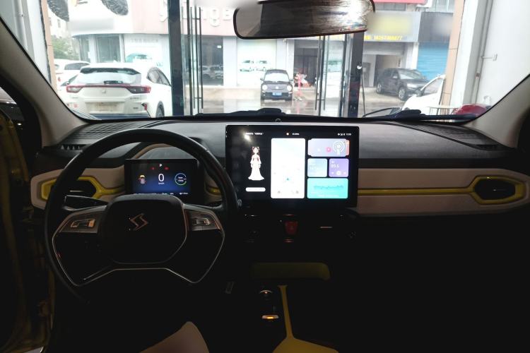 Used SOL E10X 2022 Flower Fairy Style Baby's Breath
