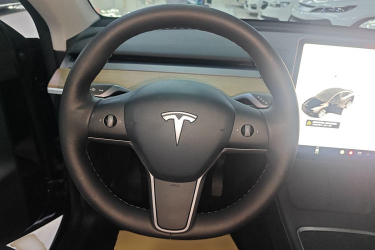 Used Tesla Model Y 2021 Standard Range Rear-Wheel Drive Version
