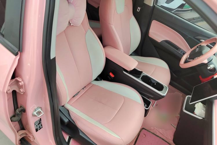 Used NETA V 2021 Witch Edition