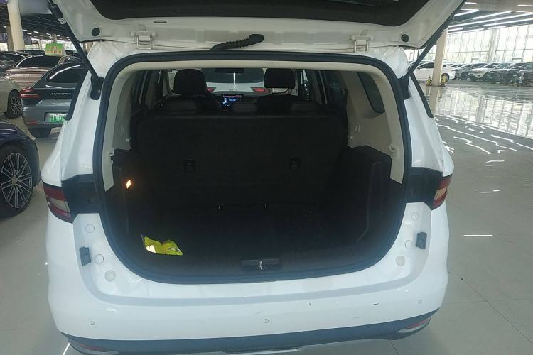 Used Livan Maple 80V 2021 Easy-to-Replace Version Lithium Ternary
