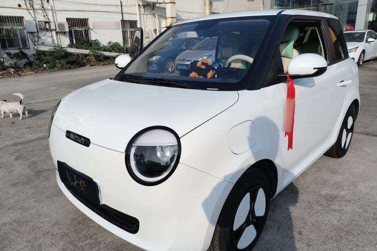 Used Qiyuan Lumin 2023 301km Honey Dew Edition
