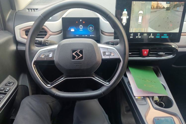 Used SOL E10X 2022 Flower Fairy Design Sunflower