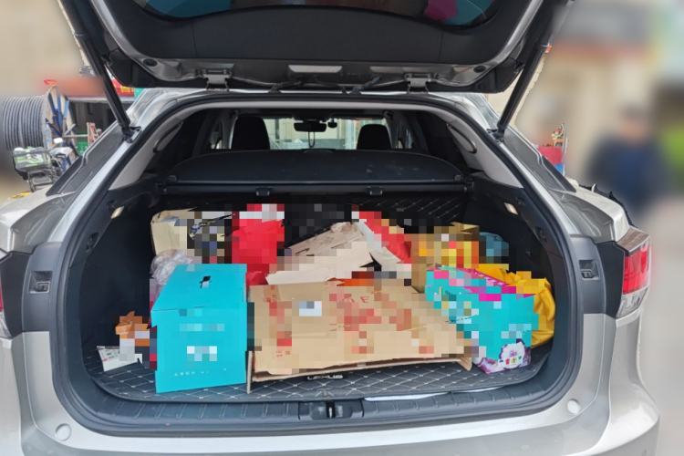 Used Lexus RX 2021 300 Four-Wheel Drive Special Edition