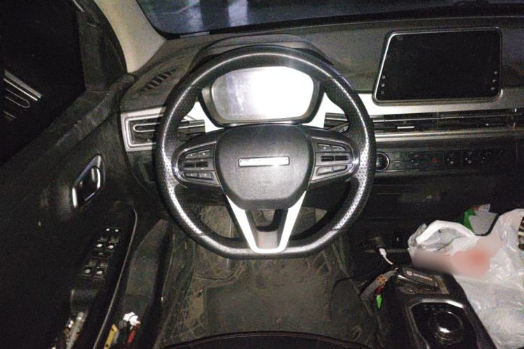 Used Dayun Yuehu 2021 Revised Version 32.85 kWh Two-Wheel Drive Sprite Edition
