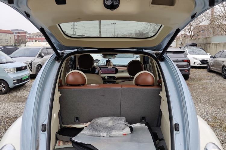 Used ORA Ballet Cat 2023 401 km Luxury Version
