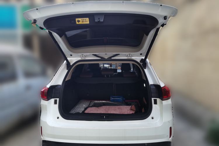 Used Wey VV6 2021 2.0T Two-Wheel Drive Smart Plus
