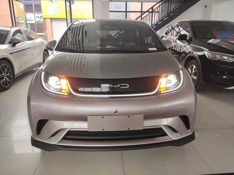 Used BYD Dolphin 2023 401km Knight Edition — 2