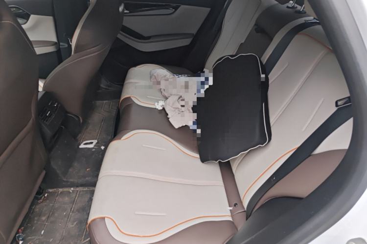 Used BYD Qin PLUS 2023 Champion Edition DM-i 120KM Excellence Model Left Rear Seat