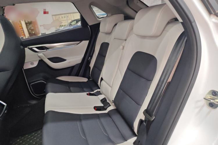 Used WM Motor EX5 2019 EX5 ZhiXing 2.0 Extra Innovation Edition 400 Left Rear Seat