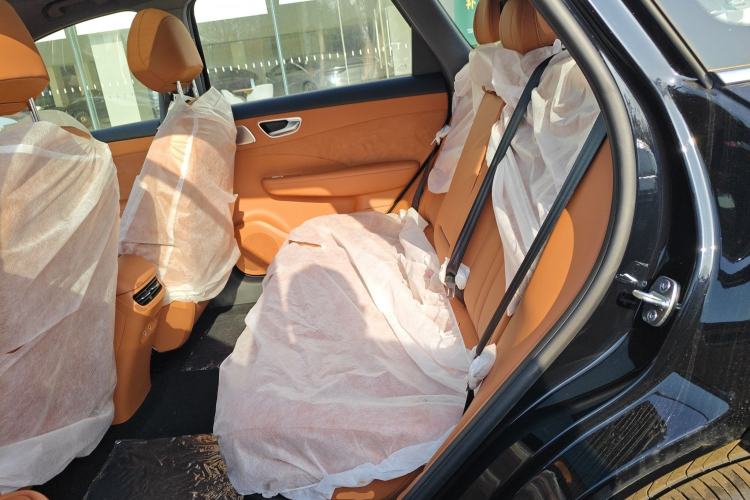 Used Hima H5 2025 Model Pure Electric Pro Left Rear Seat