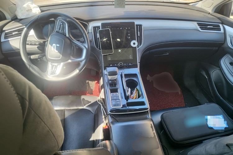 Used Rising ER6 2021 New Dynamic Edition 520km Smart Leading Version
