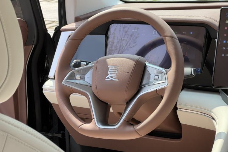 Used BYD Xia 2025 DM-i 1.5T 100km Leading Model Interior 1