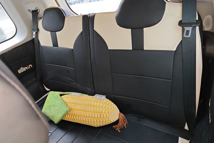 Used Qiyuan Lumin 2025 205km Refreshing Edition
