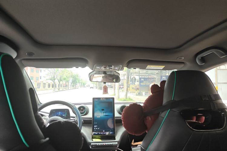 Used BYD Dolphin 2023 401km Knight Edition Headliner