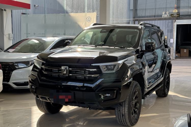 Used Tank 400 2025 2.0T Gasoline Version