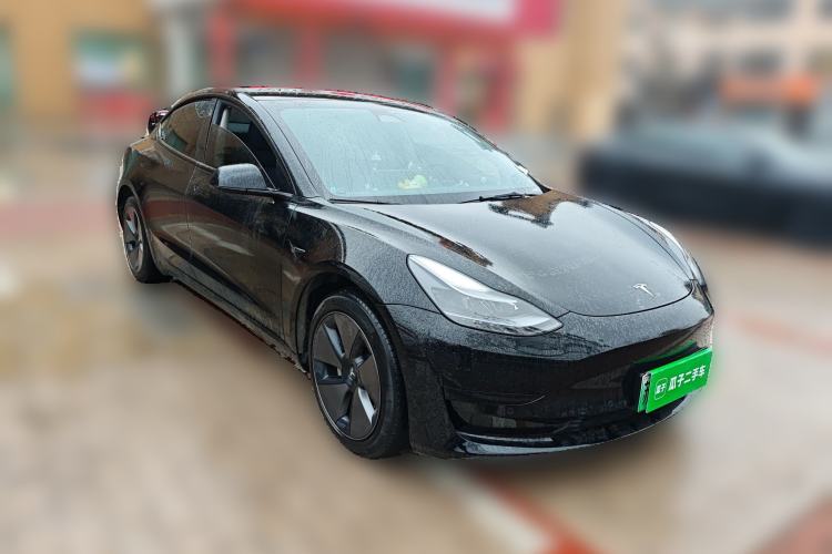 Used Tesla Model 3 2022 Rear-Wheel-Drive Version