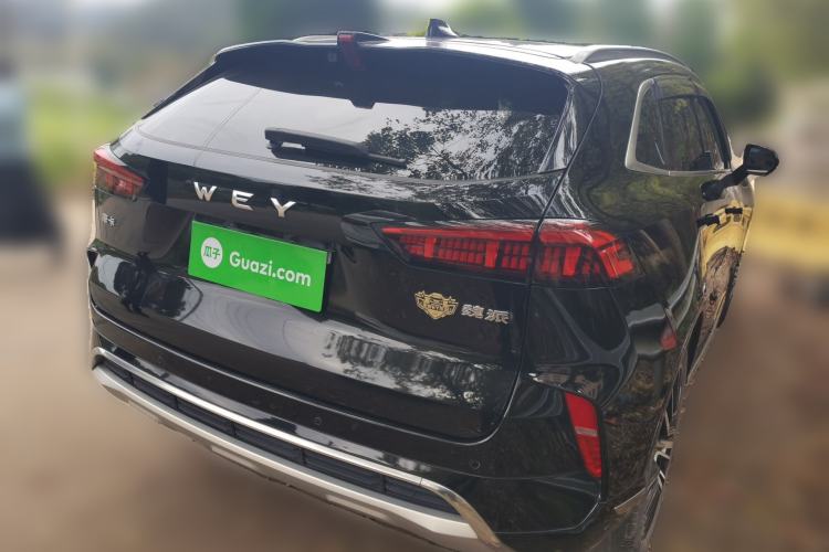 Used Wey Mocha 2021 2.0T Four-Wheel Drive Premium Edition
