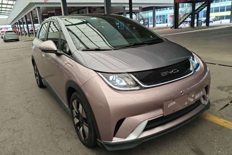 Used BYD Dolphin 2021 401km Knight Edition