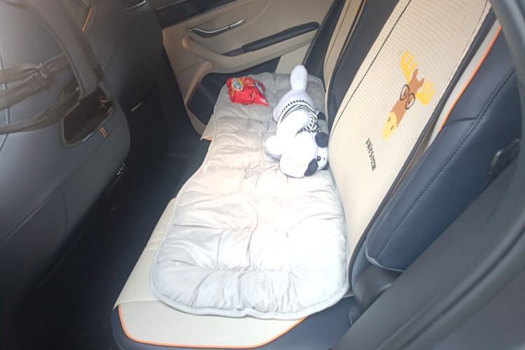 Used BYD Song PLUS New Energy 2023 Champion Edition DM-i 110KM Flagship PLUS Left Rear Seat