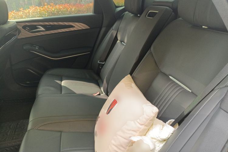 Used Hongqi H9 2020 2.0T Smart Connect Flagship Edition
